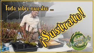 TODO SOBRE SUSTRATO [upl. by Alejoa908]