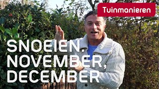 Wat kan je snoeien in november en december  Snoeien  Tuinmanieren [upl. by Enileuqkcaj]