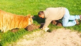 Ozzy Man Reviews Alpaca in a Hole [upl. by Almeeta]