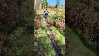 Hillclimb haldon Steeper than it looks mtb ytshort mountainbike hillclimbracing [upl. by Gallard]