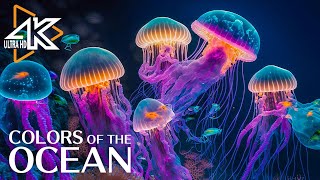 The Ocean 4K  Captivating Moments with Jellyfish and Fish in the Ocean  Relaxation Video 2 [upl. by Seagrave751]