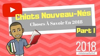 Chiots NouveauNés  Choses à Savoir en 2018  Part I [upl. by Cindy]