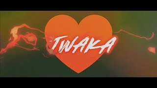 Lu City feat KANIS  Twaka Official Lyric Video [upl. by Imiaj557]