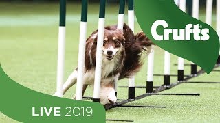 Crufts 2019 Day 4  Part 1 LIVE [upl. by East736]