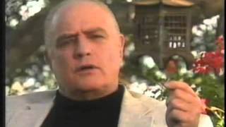 Marlon Brando  Interview deutsch1989 [upl. by Pedrick]