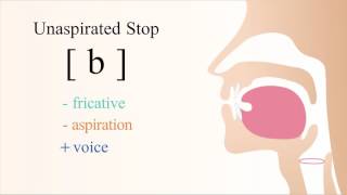 b  voiced unaspirated bilabial stop [upl. by Mandi]