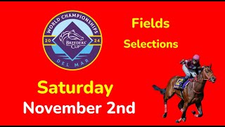 Breeders Cup Saturday 11224 Fields amp Selections  Full Card [upl. by Niar]