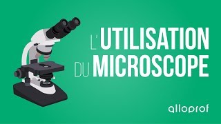 Lutilisation du microscope  Sciences  Alloprof [upl. by Anoy700]