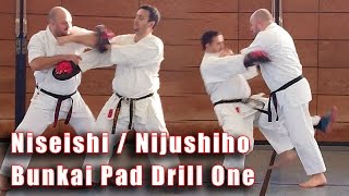 Practical Kata Bunkai Niseishi  Nijushiho PadDrill 1 [upl. by Eerahc]