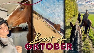 Freispringfails amp neue 🐴  BEST OF OKTOBER 2024 [upl. by Haslam70]