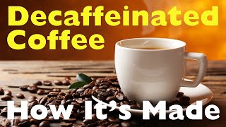 How is Coffee Decaffeinated The Secret Behind Your Cup of Decaf [upl. by Yenreit]