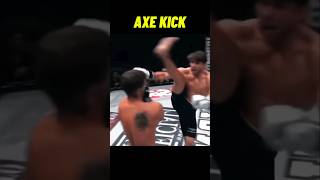 Martialarts Knockouts kicks boxing mma karate kungfu [upl. by Neehsuan465]