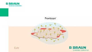 Prontosan®  Guardate la betaina in azione [upl. by Onaled]