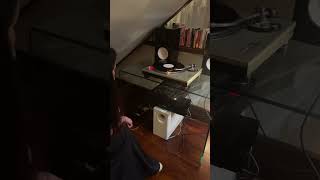 Nerina Pallot  A Psalm For Emily Salvi  First listen to the vinyl test press nerinapallot vinyl [upl. by Hirz]