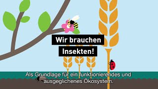 Wir brauchen Insekten [upl. by Iem]