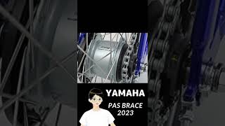 YAMAHA Pas Brace 2023 [upl. by Ised]