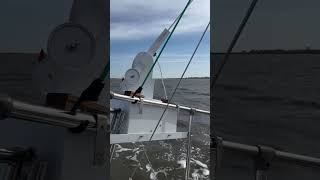 Mark III trim tab wind vane self steering working as advertised [upl. by Burrow]