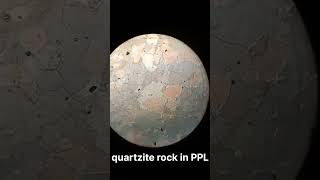 Quartzite thin sectiongeology rock microscope thin section minerlogy [upl. by Dickman]