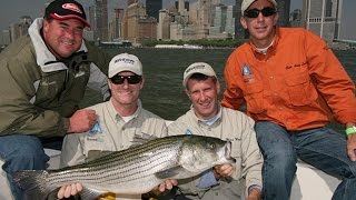 Striped Bass Fishing  Jamaica Bay NY  FCA Manhattan Cup [upl. by Tedi]