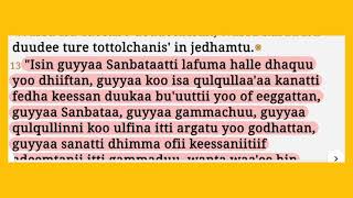 134 Macaafa Isaayaas Raajichaa boqonnaa 56 hanga 66  Lattuu Itichaatiin [upl. by Oecam367]