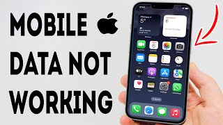 How To Fix Mobile Data Not Working On iPhone  Full Guide [upl. by Aelak]