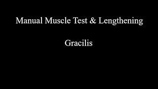 Manual Muscle Test amp Lengthening  Gracilis [upl. by Aneehsirk]