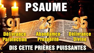 PSAUME 912335 🙏 PRIÈRES PUISSANTES pour LABONDANCE la PROTECTION et le MIRACLE DIVINE [upl. by Thorr]