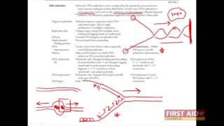 First Aid for the USMLE Step 1 BIOCHEM  04  DNA replication [upl. by Yenot]