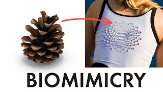 Biomimicry has massive potential Why arent designers using it [upl. by Eicyaj314]