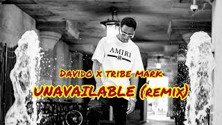 Tribe Mark x Davido  Unavailable remix [upl. by Ellynad]