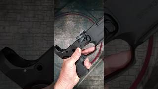 Part 2 Leapers UTG Pro Ambi Lower  The Ambidextral Gunfighter AR15 [upl. by Onitselec]