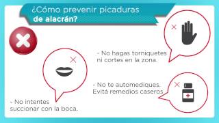 ¿Qué hacer ante una picadura de alacrán [upl. by Names]