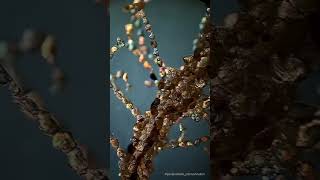 polychaete worm’s  Beauty of Micro world  Micro art [upl. by Enitsrik]