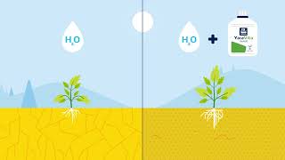 Mejora las condiciones de crecimiento de tu cultivo con YaraVita™ OPTINUE [upl. by Koerlin]