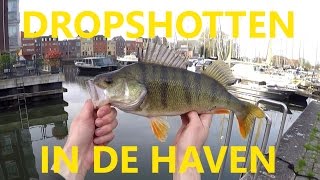 Dropshotten in de haven quoteen waar baars festijnquot [upl. by Eniamrahc]