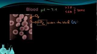 Chemistry 127 Buffers [upl. by Argyle634]