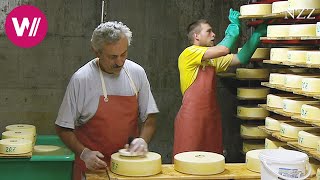 Cheesemaking  visiting a Swiss dairyman [upl. by Alhan835]