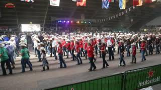 Line Dance The Top of the Hill Choreo Stefano Civa [upl. by Morra]