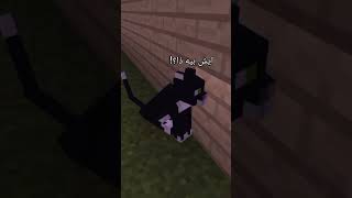 البسس لما تبي تنام🤣💔 memes trend ميمز ترند minecraft vial مشاهير ماينكرافت mlg [upl. by Ace]