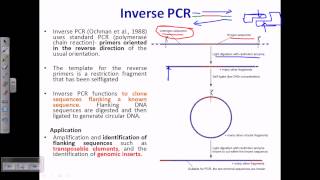 Inverse PCR [upl. by Banna583]