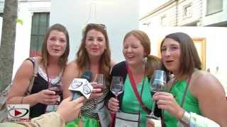 Negroamaro Wine Festival concerti e vino a Brindisi [upl. by Lleunamme312]