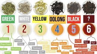 Discover the 6 Tea Types and a WORLD of Awesome Tea SubTypes  Masterclass on Tea Ch 1 of 8 [upl. by Narbig]