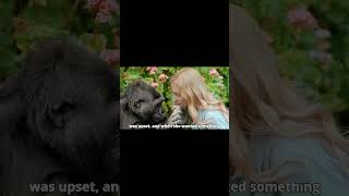 Koko The Genius Gorilla Who Spoke with Her Heart and Mind – Watch Her Final Message [upl. by Ennovihc]