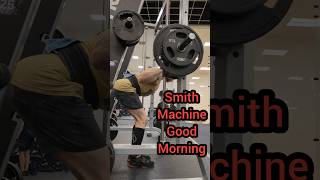 The Smith Machine is Useful Smith Machine Good Mornings [upl. by Shauna]