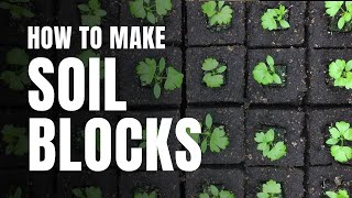 How to Make Soil Blocks [upl. by Euqinemod]