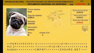 Crea un DNI online para tu mascota  DNI Zheard [upl. by Norty4]