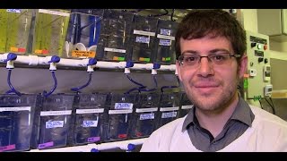 Dr Daniel Hesselson  AntiSeizure Drug Screening in Zebrafish [upl. by Etyak389]