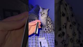 BARKING CAT UNBOXING PS5😂 [upl. by Epilihp]