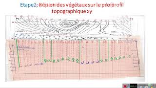 Coupe de répartition horizontale des végétaux [upl. by Ianteen]