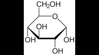 GLUCÓLISIS Y DESCARBOXILACIÓN DE PIRUVATO BIOQUÍMICA [upl. by Ho]